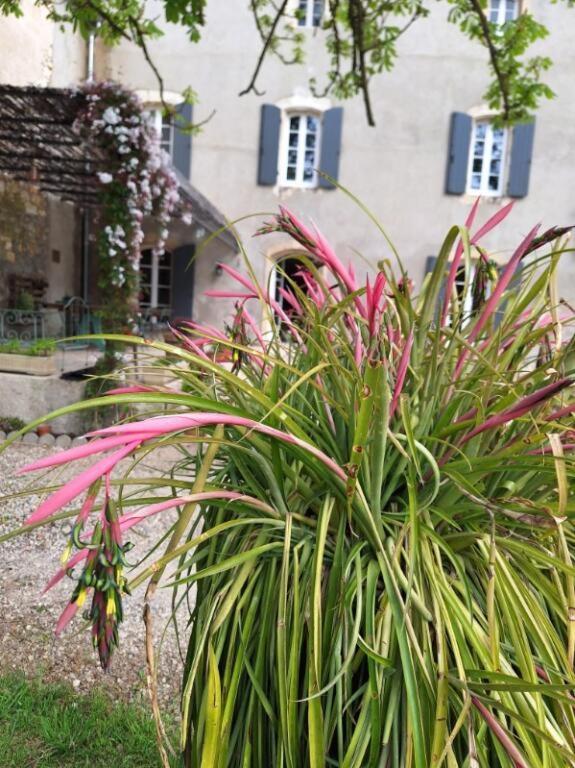 مبيت وإفطار ناربون Domaine De Capoulade المظهر الخارجي الصورة